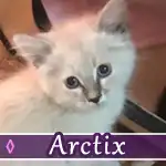 arctix