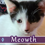 meowth