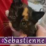 sebastienne