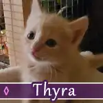 thyra